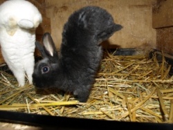 Papas Bilder 385-klein-mini.jpg
