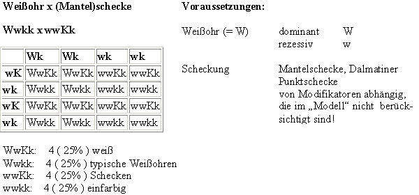 WO_1.jpg