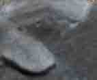 Foto1A.jpg