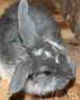 Foto4A.jpg