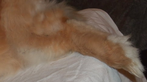 DSCF4015_.JPG