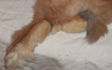 DSCF4014_.JPG