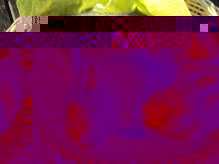Silber3.jpg