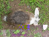 ov_ov_img_4499-1.jpg