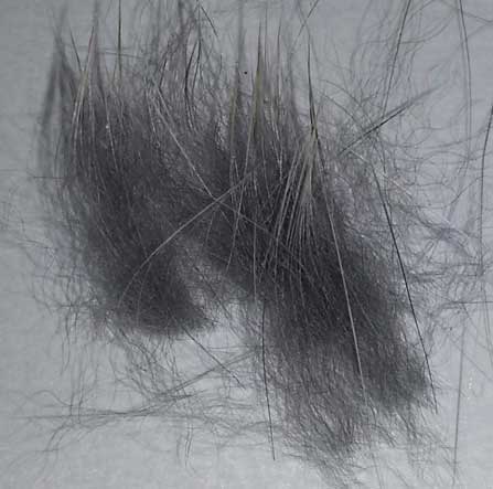 Haare_DRSCHblau.jpg